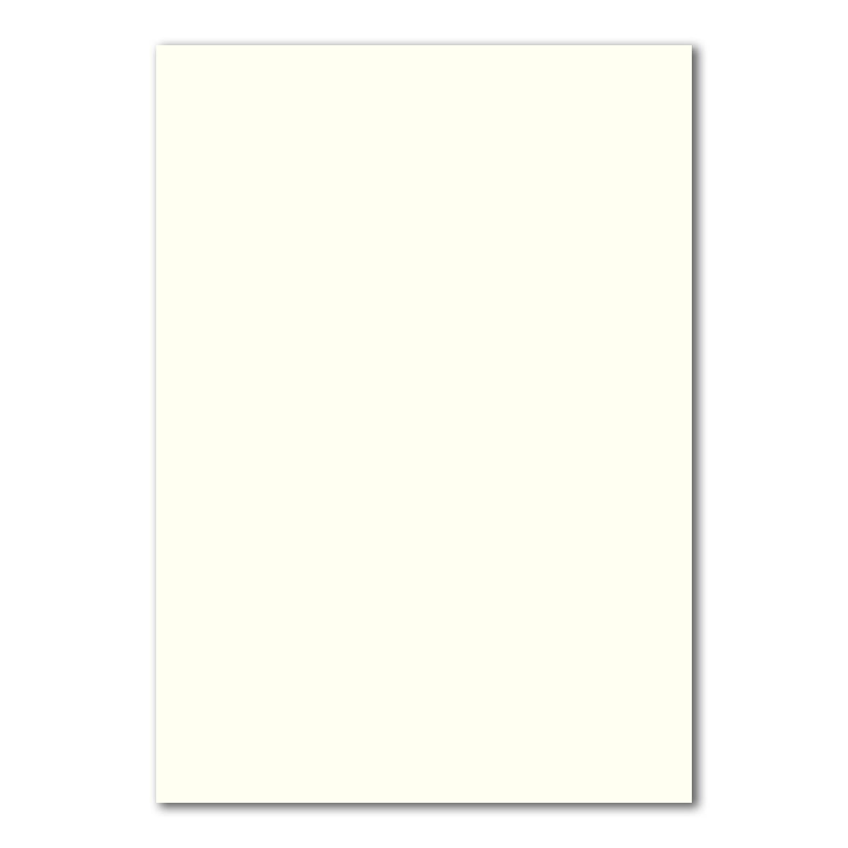 Kolorowy Froh® 400 DIN A4 arkusze papieru planobogeny – naturalna biel – 160 g/m² – 21 x 29,7 cm – arkusz do majsterkowania, papier fotograficzny