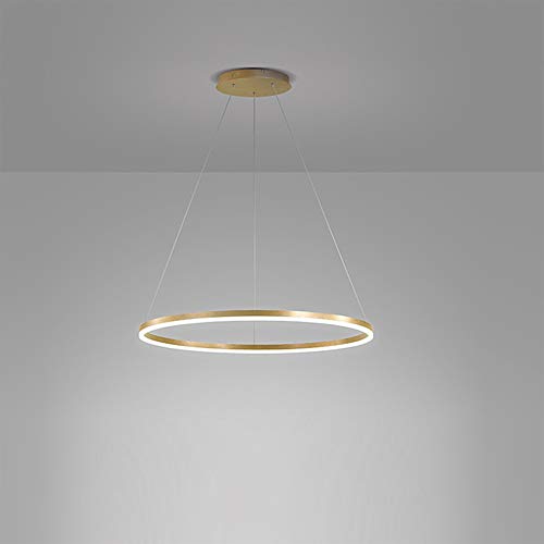 Suspension réglable sans étape luminaire LED or 60cm 38W pour ajuster l'ambiance de la chambre