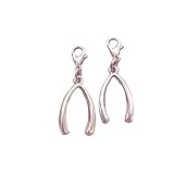 LOKLNEYK 5Pcs wishbone Pendant, good luck bracelet Pendant, lucky zipper charm, wish bone clip on charm