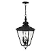 Livex 2035-04 Transitional Three Light Outdoor Pendant from Cambridge Collection in Black Finish, 10.63 inches