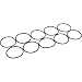 Pentair O-Ring, IntelliChlor, Quantity 10