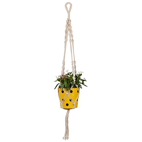 TrustBasket Round Dotted Pot with Macrame Cotton Contemporary Hanger - Set of 5 | Rope Flower Pot Holder for Indoor and Outdoor Hanging Planter Basket