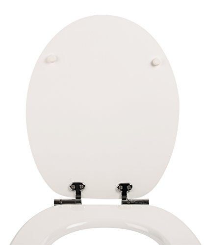 aquaSu® WC-Sitz mit Absenkautomatik, lustiges Dekor Lesestoff, Toilettensitz mit Holz-Kern & Fast Fix Schnellbefestigung, universale O Form, mit Metallscharnieren, Toilettendeckel witzig, 40264 4