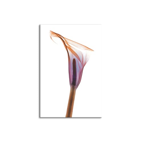 �L�����o�X�G�� 3 ���A�[�g�p�l�� �ؘg�t�������i �ԐA���̕ǂ̕��i�ʐ^ �u�G���K���g�Ȍ|�p�̉ԁv �|�X�^�[ �Ƃ̕��������̂��߂� �Ǌ|�� ������� (40x60cm�i16x24in�j,B)