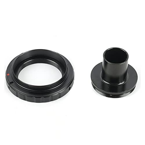 ώ@ wI}EgA_v^[T2YA_v^[O23.2mmACs[X|[g