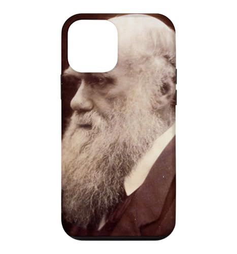 �`���[���Y�E�_�[�E�B�� �ё��� �i�� �Ȋw�� �i�`�������X�g �X�}�z�P�[�X iPhone 12 mini �p