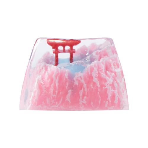 Sumgsn Touches Lumineuses personnalisées en résine - Profil SA - Brillance à Travers Les Touches pour Clavier mécanique MX Switches R4