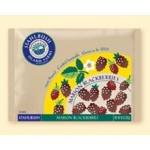 Navel Oranges - 1&1/2 Dozen (18) from Organic Mountain