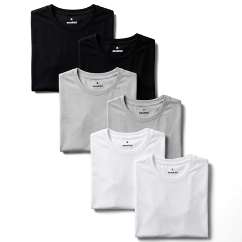 Kit 6 Camisetas Algodão Dia Dia Sandrini Básica Conforto (BR, Alfa, G, Regular, Sortidos)