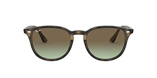 Ray-Ban Rb4259 Round Sunglasses3