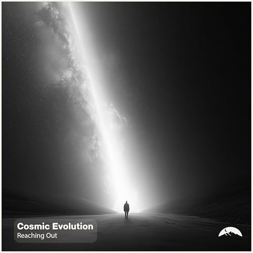Cosmic Evolution