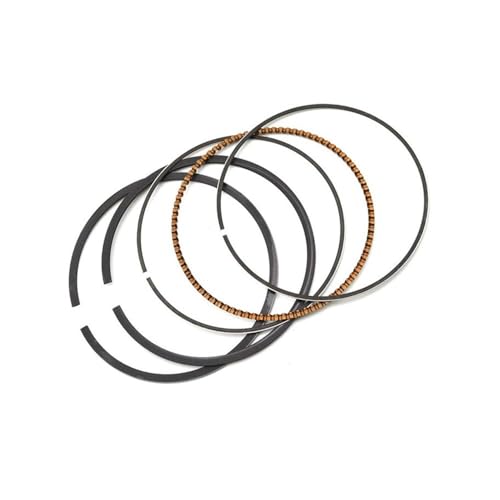 Anneaux piston 76mm moto pour restaurer votre GSX1200 en road trip