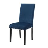 Roundhill Furniture Cobre Contemporary Velvet Dining Chair with Nailhead Trim, Set of 2, Blue