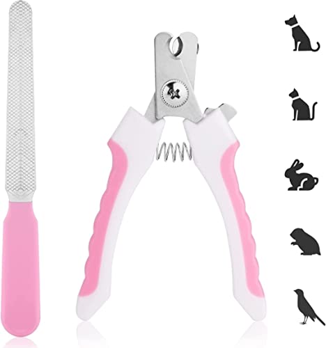 Generico KIT 5 PEZZI Toelettatura Spazzola +