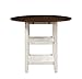 Homelegance Kiwi Counter Height Drop Leaf Table, White