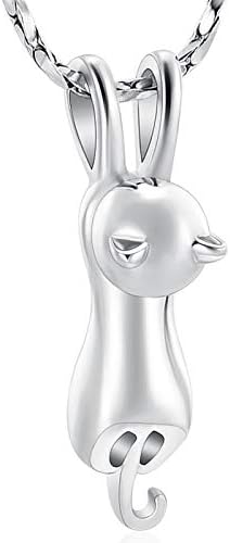 Imrsanl Pet Cremation Jewelry for Ashes Memorial Ash Jewelry Keepsake Cat Urn Pendants for Animal Ashes Necklace (Silver)