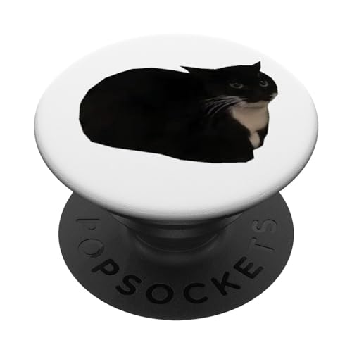 Spinning Cat Meme Maxwell The Cat Meme PopSockets Standard PopGrip