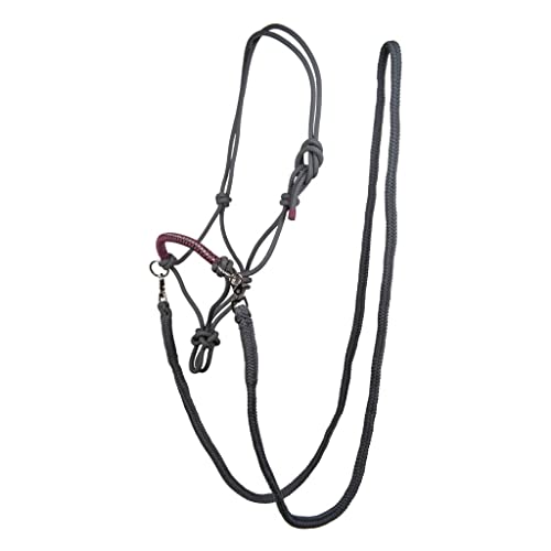 Cabestro Occidental HKM Western Strass Raun Vollblut para Caballos 2