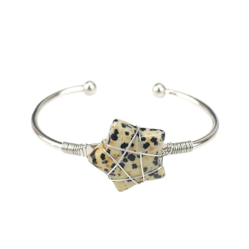 [LOVDUSU] |WeBuȃGlM[ƕی̂߂̎芪^CK[Xg[VR䊐uXbg(Spotstone)