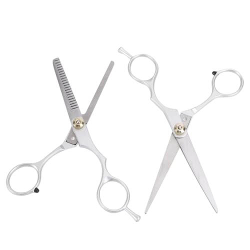 IWOWHERO 2 Piezas Tijeras Peluquería Profesional Plata Acero Inoxidable Corte y Entresacar Barbería
