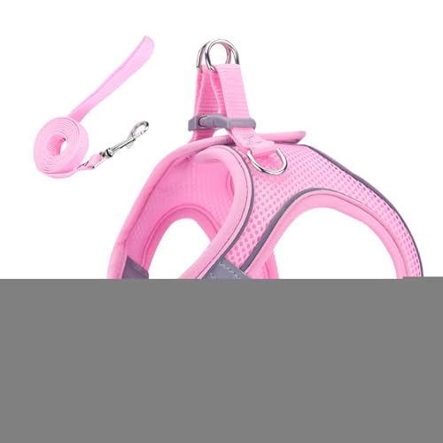 sp Lp n[lX, \tgbVxXg ːSXgCvt, ^ ^ ^ ybg xXgJ[ oR Lv AEghAp