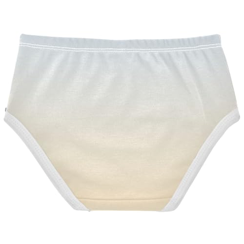 Joisal Fun Girls Underwear Toddlers 2t Cotton Girl Panties Cute Elegant Blue Moccasin Gradient Briefs Girls Undies2