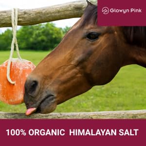 Image of Himalayan Mineral Salt Block on Rope Pack of 4 (3lbs each) - 100% Organic Pink Salt Lick for Horses and Livestock. Deer Attractant with No Harmful Elements.