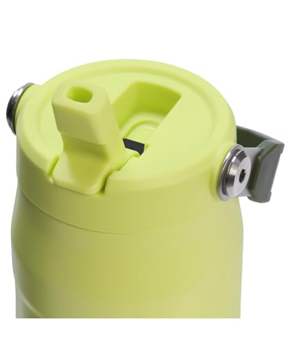 Image of Stanley IceFlow Flip Straw 2.0 Water Bottle 24 oz | Built-In Straw for Travel and Sports | Lightweight and Leak Resistant | Insulated Stainless Steel | BPA-Free | Prickly Pear