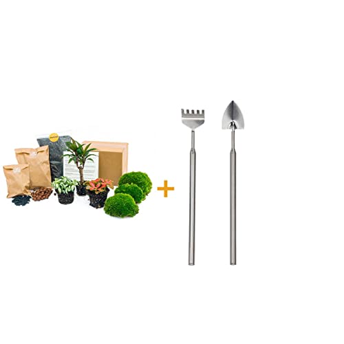 Foto von Flaschengarten Paket Palme - 3 Pflanzen - Nachfüll & Starterpaket DIY - Pflanzenterrarium Nachfüllset