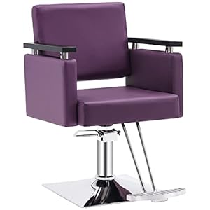 BarberPub Classic Hydraulic Barber Chair Salon Chair Beauty Spa Styling Salon Equipment 8803 (Purple)