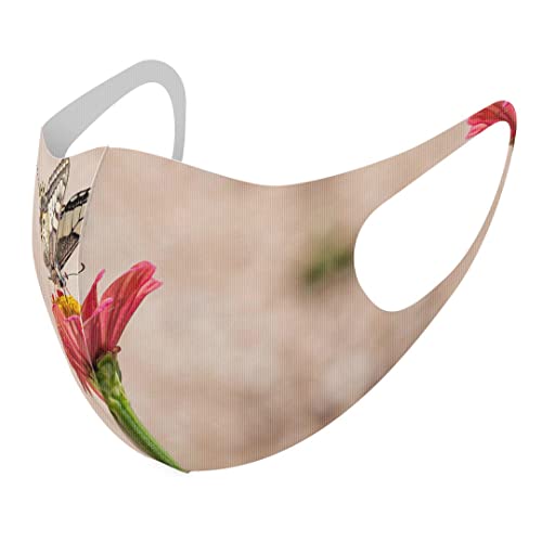 [igsticker] fUC }XN QZbg |GXe 􂦂 z}XN jp MTCY 023047 X  ʐ^