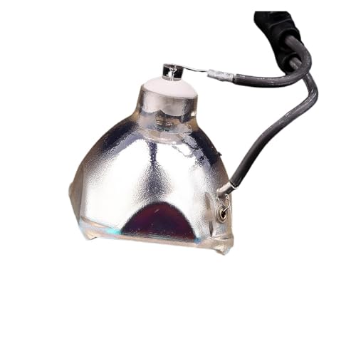 Lampe compatible ET-LAM1 projecteur Panasonic PT-LM1u haute luminosité