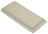 WIX Air Filter Panel
