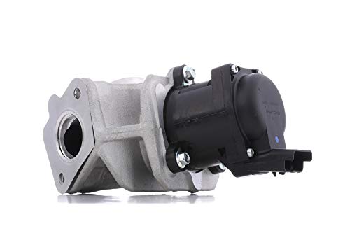 DELPHI EG10401-12B1 Vanne EGR sans radiateur-EGR Compatible avec FORD Fiesta Mk6 3/5 portes JA8, JR8 Fiesta Mk5 3/5 portes JH1, JD1, JH3, JD3 C-Max DM2 Fiesta...