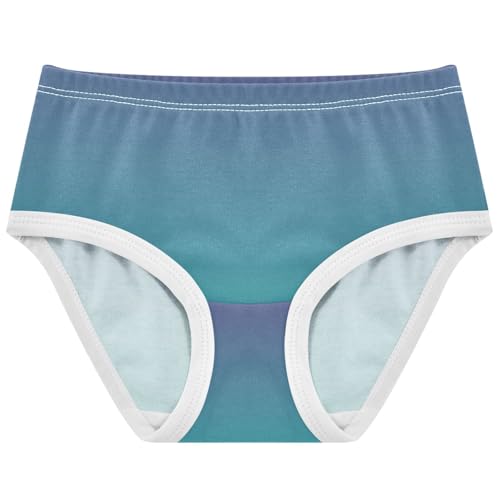 Joisal Violet Light Sea Green Gradient Little Girl Panties Toddlers Underwear Floral Cotton Designer Briefs Undies Kids 2t