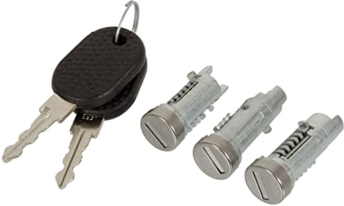 DoctorAuto DR165384 Nuevo Conjunto de Cilindro