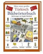 Mein erstes großes Türkisch Bildwörterbuch. Physik und die Erscheinung des Lebendigen. 3811221817 Book Cover