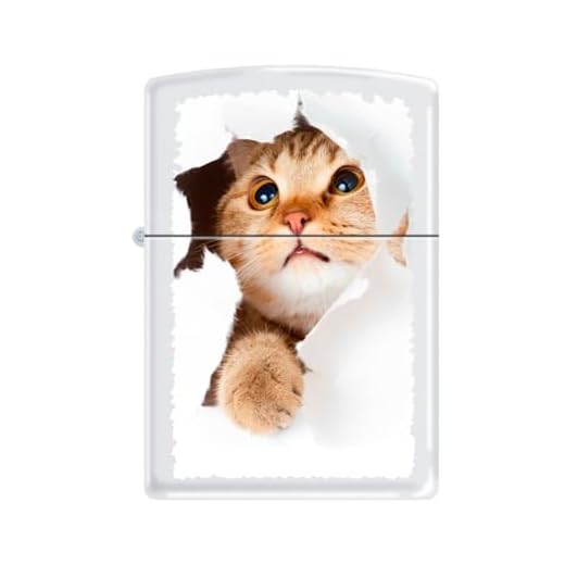 Zippo Lighter-Cat Pet Animal Windproof Lighter Kitty Cat Inside Hole #Z5564