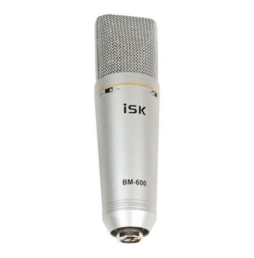 iSK BM-600 Multi-Function Studio Condenser Microphone : Amazon.com
