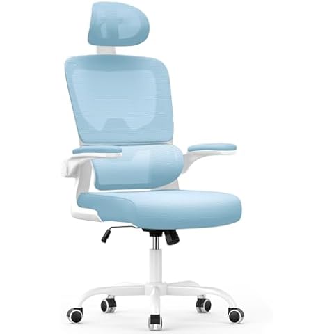 Chaise de Bureau Ergonomique Naspaluro Cover