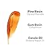 Parissa Legs & Body Warm Wax Kit | Salon-Style Microwavable Wax for Coarse Hair Removal on Face & Body | Vegan | At-Home Hair Removal Kit | 150ml (5 Fl Oz)