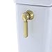 Toto THU231R#PB Trip Lever for Guinevere Toilet, Polished Brass