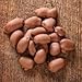 Mascot Pecans Gifts Since 1955 - Smooth Milk Chocolate Covered Georgia Pecans 2 Pound Tub