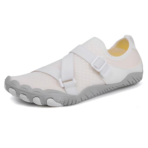 [Vailaipupy] tBbglXV[Y 5{wfUC e Ռz ʋC yʐ݌v jp TCNO W j Vт KȗSn
