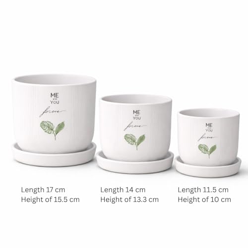Image of Xtore Triliora Ceramic Planter Set with Trays | Botanical Print Flower Pots for Home, Office & Living Room Decor - (Set of 3, White)