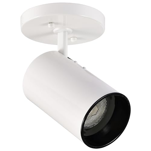 Nuvo SF76/412 One Light Close-To-Ceiling Flush Mount thumb #2