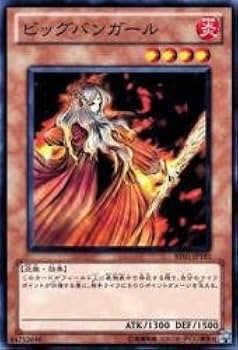 SM-33 遊戯王 ビッグバンガール PSA 10 FIRE PRINCESS SM-33 遊戯王 ビッグバンガール PSA 10 FIRE PRINCESS - メルカリ