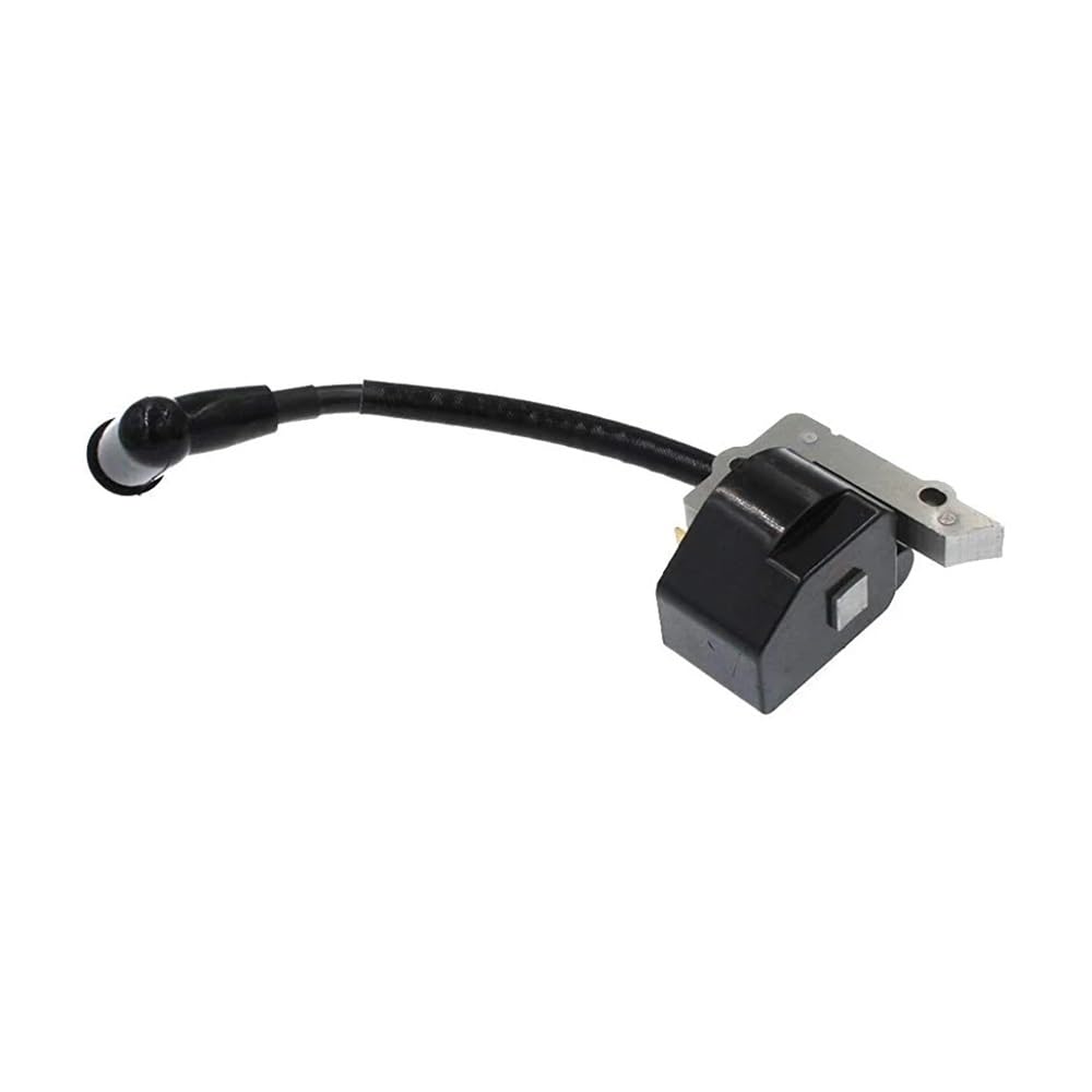 Bobina de encendido 545024901 elimina tirones y fallos en SST25