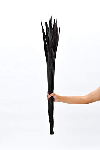 Image of Leewadee Tall Vase Filler, Dried Palm Leaves - 2 Bunches of Colored Decor for Floor Vases, Naturally Dried Arrangements for Vintage Or Modern House Decor, 45 inches, Black Brown