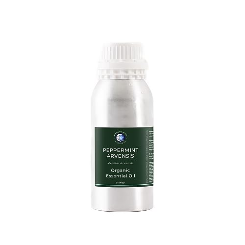 Mystic Moments | Organic Peppermint Arvensis Essential Oil (Mentha Arvensis) 500Ml | Strong Cooling Mint Aroma | Refreshing Home Ambience | Aromathera